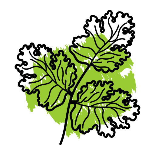 Coriander Powder