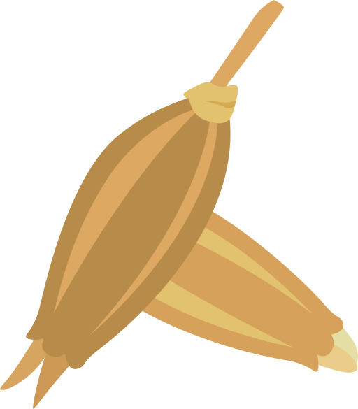 Cumin Powder